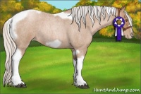 Horse Color:Silver Blue Roan Pearl Tobiano Frame 