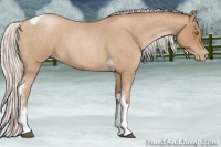 Horse Color:Silver Blue Roan Pearl Tobiano Frame 