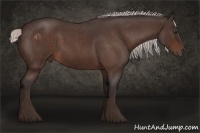 Horse Color:Silver Brown Roan 