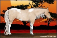 Horse Color:Silver Blue Roan Pearl Tobiano Frame 