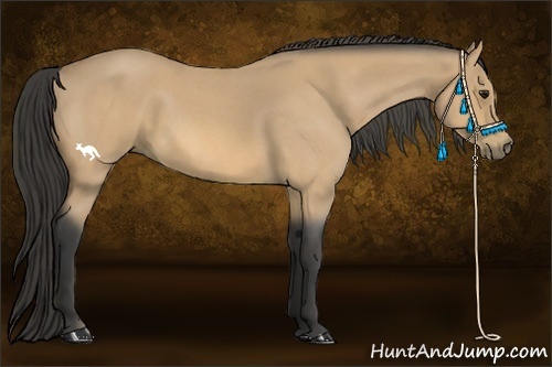 Horse Color:Buckskin Roan 
