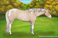 Horse Color:Silver Blue Roan Pearl Tobiano Frame 