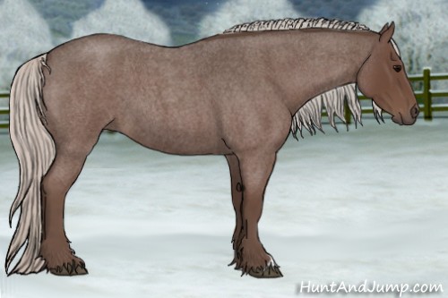 Horse Color:Silver Blue Roan 