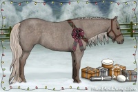 Horse Color:Silver Blue Roan 