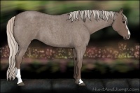 Horse Color:Silver Blue Roan Sabino 