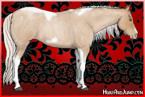 Horse Color:Silver Blue Roan Pearl Tobiano Frame