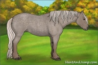 Horse Color:Silver Blue Roan Sabino 