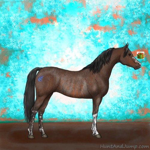 Horse Color:Bay Rabicano  and Bay Rabicano 