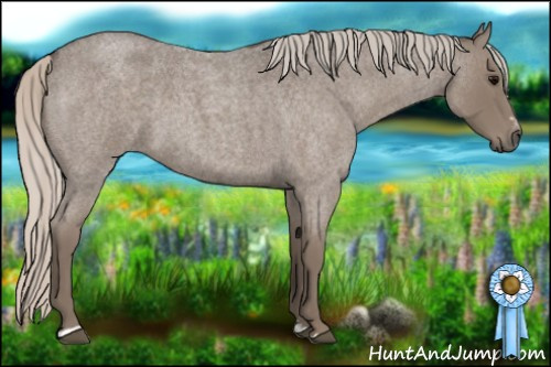 Horse Color:Silver Blue Roan Sabino 