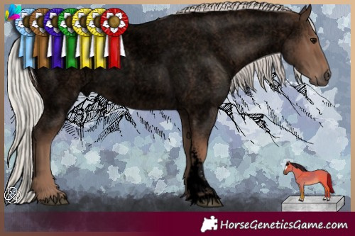 Horse Color:Void Silver Blue Roan Sabino