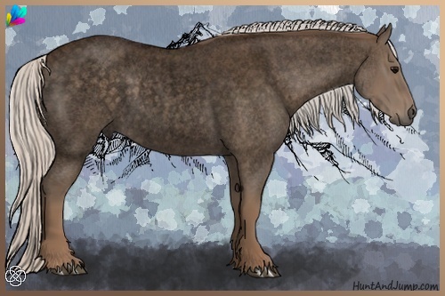 Horse Color:Void Silver Blue Roan Sabino 