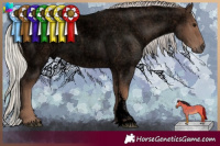 Horse Color:Void Silver Blue Roan Sabino
