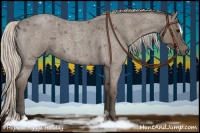 Horse Color:Silver Blue Roan Sabino 