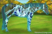 Horse Color:ERROR: UNKNOWN ANOMALY and ERROR: UNKNOWN ANOMALY