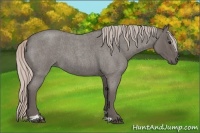 Horse Color:Silver Blue Roan Sabino