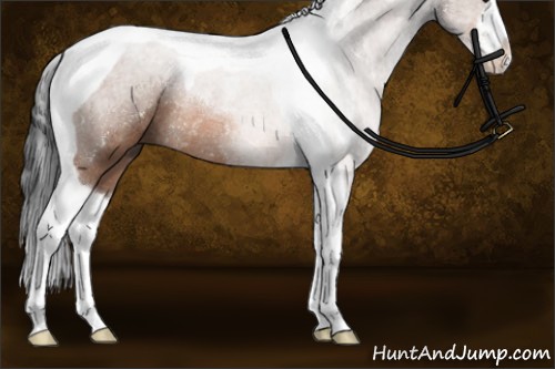 Horse Color:Bay Sabino Tobiano Rabicano 