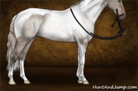 Horse Color:Silver Brown Dun Sabino Tobiano Rabicano 