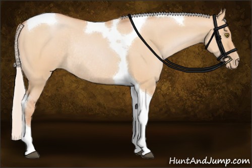 Horse Color:Silver Bay Pearl Dun Tobiano Rabicano 