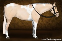 Horse Color:Silver Bay Pearl Dun Tobiano Rabicano