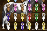 Horse Color:Black Sabino Tobiano Rabicano