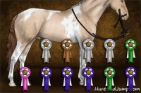 Horse Color:Brown Pearl Dun Tobiano Rabicano 