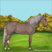Horse Color:Silver Blue Roan Sabino 