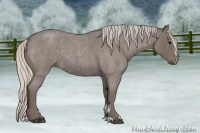 Horse Color:Silver Blue Roan Sabino 