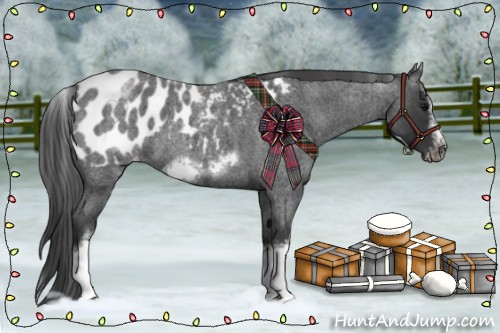 Horse Color:White Spotted Blue Roan Splash Frame Appaloosa 