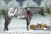 Horse Color:White Spotted Blue Roan Splash Frame Appaloosa 