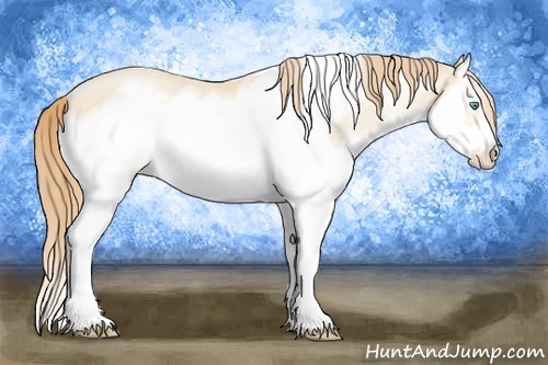 Horse Color:Buckskin Pearl Splash Frame 