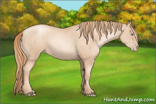 Horse Color:Gold Champagne Pearl Rabicano  and Gold Champagne Pearl Rabicano 