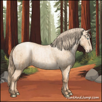Horse Color:Gold Champagne Pearl Rabicano  and Gold Champagne Pearl Dun Rabicano 