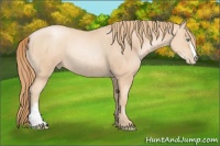 Horse Color:Gold Champagne Pearl Rabicano  and Gold Champagne Pearl Rabicano 