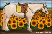 Horse Color:Gold Champagne Pearl Rabicano  and Gold Champagne Pearl Rabicano 