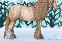 Horse Color:Liver Chestnut Pearl Rabicano and Gold Champagne Pearl Rabicano