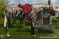 Horse Color:Void Gold Champagne Pearl Rabicano  and Void White Spotted Gold Champagne Pearl Rabicano 