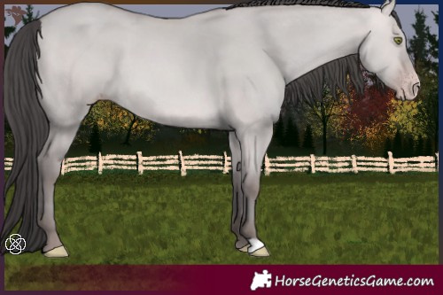 Horse Color:Platinum Amber Champagne Dun