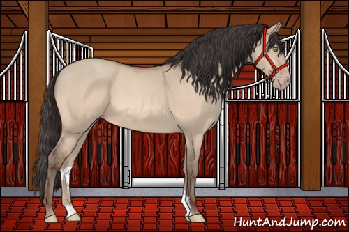 Horse Color:Sable Champagne Dun 
