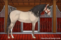 Horse Color:Sable Champagne Dun 