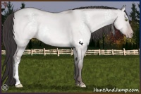 Horse Color:Platinum White Spotted Amber Champagne Dun 