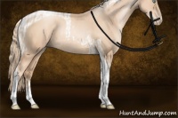Horse Color:Gold Champagne Pearl Tobiano Rabicano  and Gold Champagne Pearl Tobiano Rabicano 
