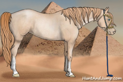 Horse Color:Gold Champagne Pearl Rabicano and Gold Champagne Pearl Rabicano