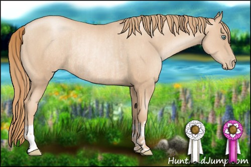 Horse Color:Gold Champagne Pearl Rabicano  and Gold Champagne Pearl Rabicano 