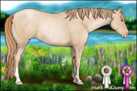 Horse Color:Gold Champagne Pearl Rabicano and Gold Champagne Pearl Rabicano