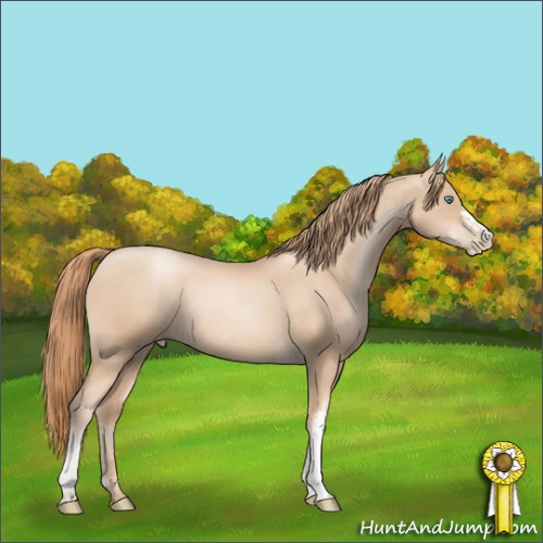 Horse Color:Gold Champagne Pearl Rabicano  and Gold Champagne Pearl Rabicano 