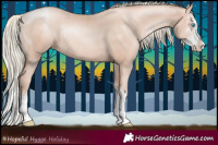 Horse Color:Gold Champagne Pearl Mushroom Sabino Rabicano  and Gold Champagne Pearl Mushroom Sabino Splash Rabicano 