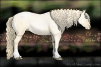 Horse Color:Buckskin Roan Pearl  and Amber Cream Champagne Roan Pearl 