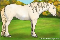 Horse Color:Buckskin Roan Pearl  and Buckskin Roan Pearl Frame 