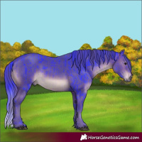 Horse Color:Watercolor Brown Mushroom Rabicano and Watercolor Brown Mushroom Rabicano