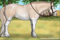 Horse Color:White Spotted Gold Champagne Pearl Rabicano and Gold Champagne Pearl Splash Rabicano